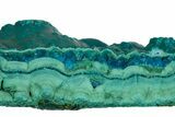 Teal Botryoidal Chrysocolla and Malachite - Chile #310150-1